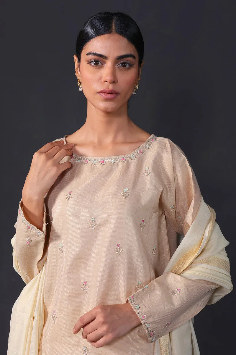 Desi Dreams Embroidered 1-Piece Kurta