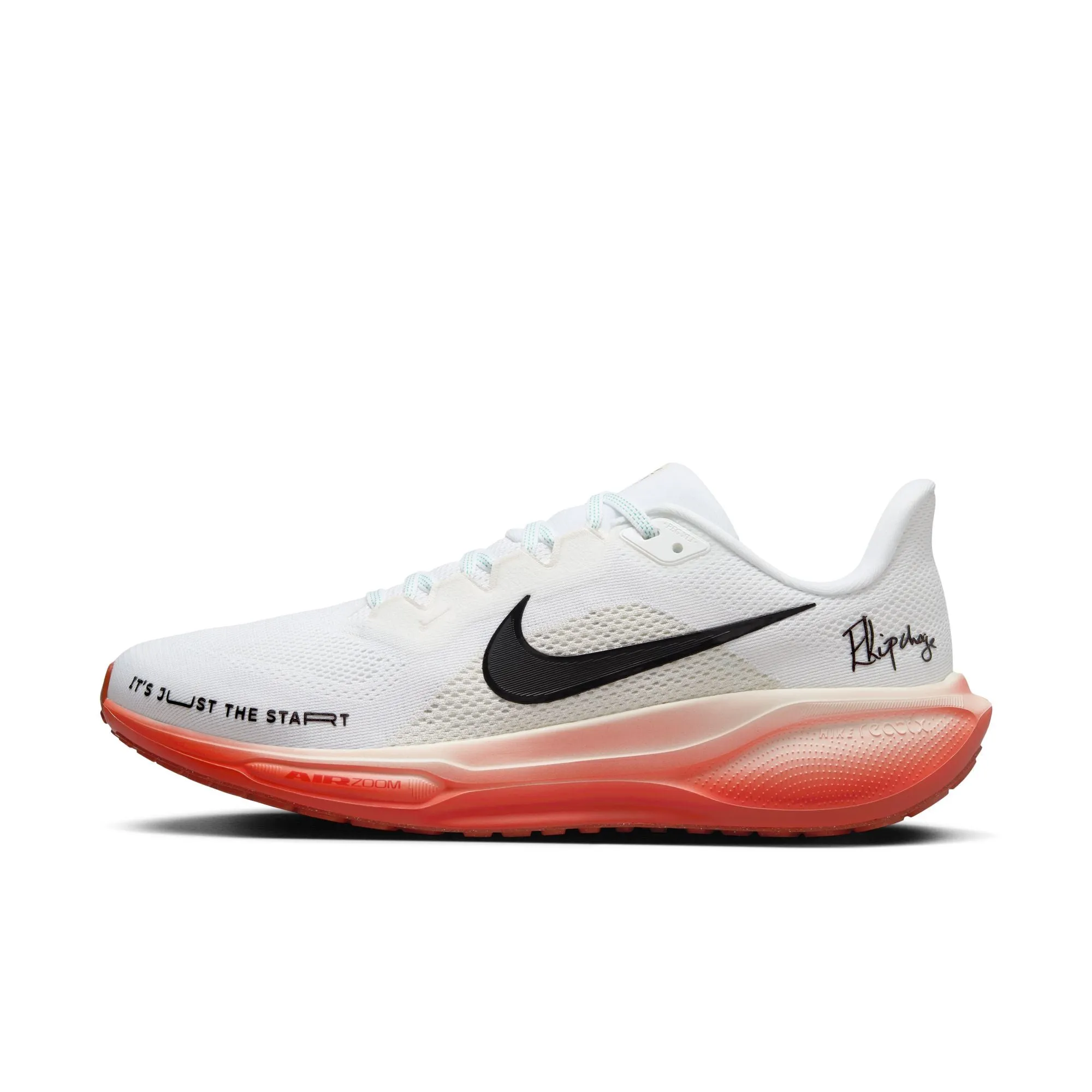 Pegasus 41 "Eliud Kipchoge" Men's Shoe