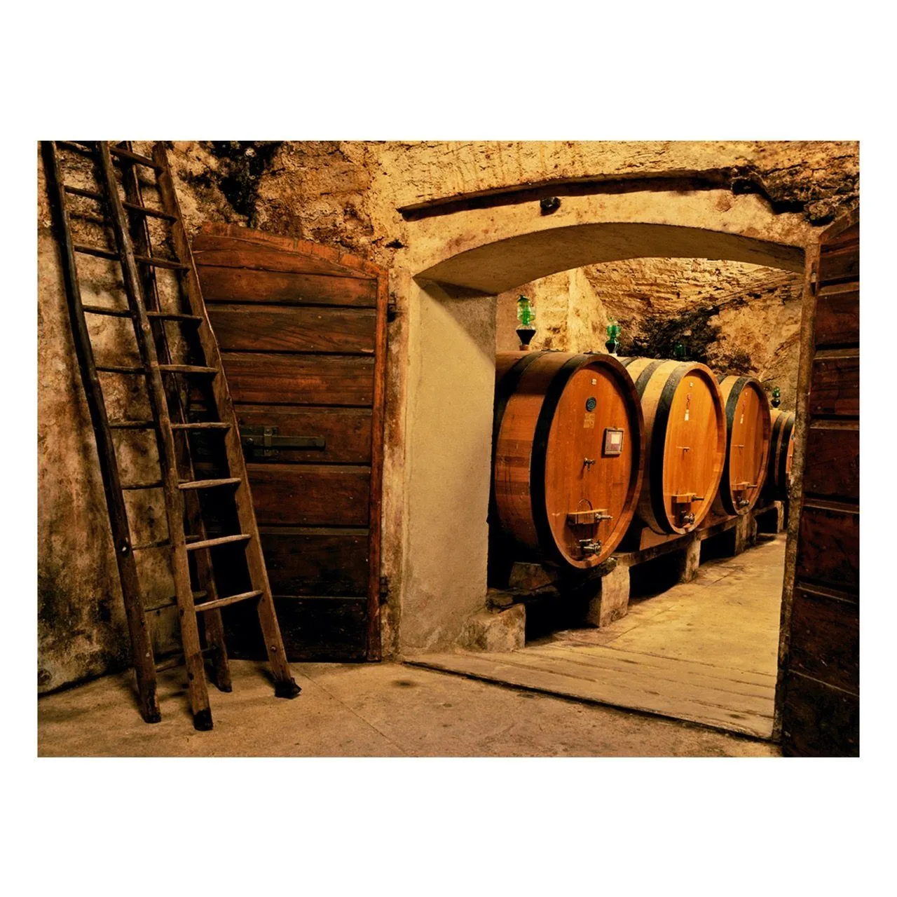 "Castellina Cellar" | Italy Photography Print