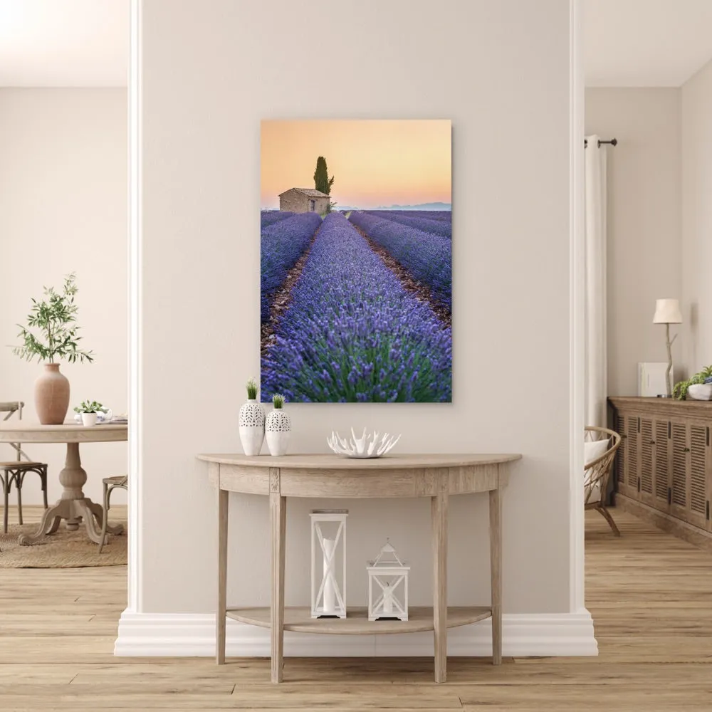 "Stripes of Lavender" | France Photography Print